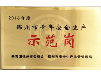 2016年度錦州市青年安全生產(chǎn)示範崗