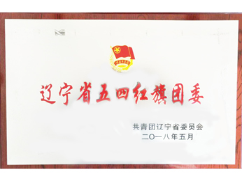 2018遼寧省五四紅旗團(tuán)委