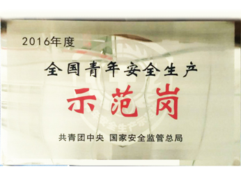 獲2016年度全國青年安全生產(chǎn)示範崗