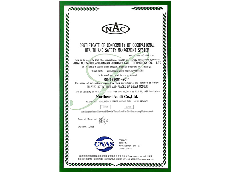 職業(yè)健康安全管理體系認(rèn)証証明書(shū)（英語(yǔ)）