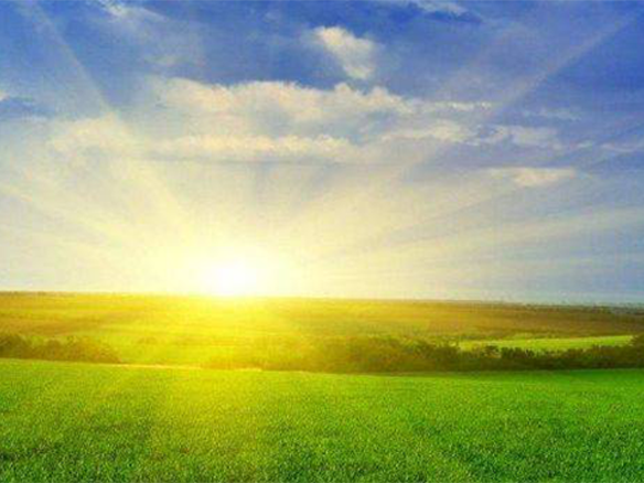 2020H1，錦州陽光戮力同心、運(yùn)營達(dá)滿產(chǎn)