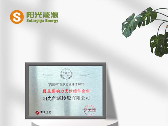 高光時刻 | 陽光能源榮獲光能杯“最具影響力光伏組件企業(yè)”稱號
